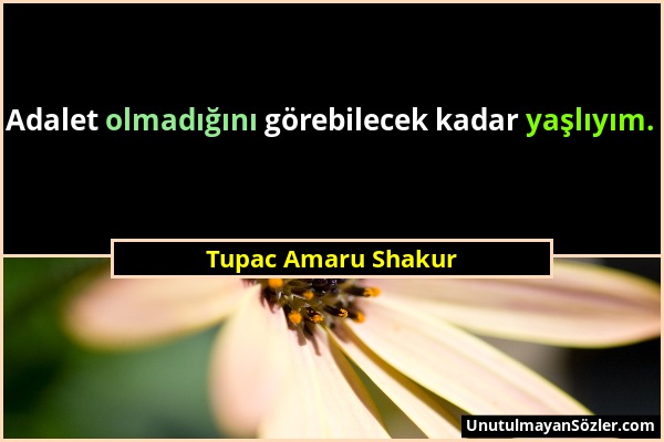 Tupac Amaru Shakur - Adalet olmadığını görebilecek kadar yaşlıyım....