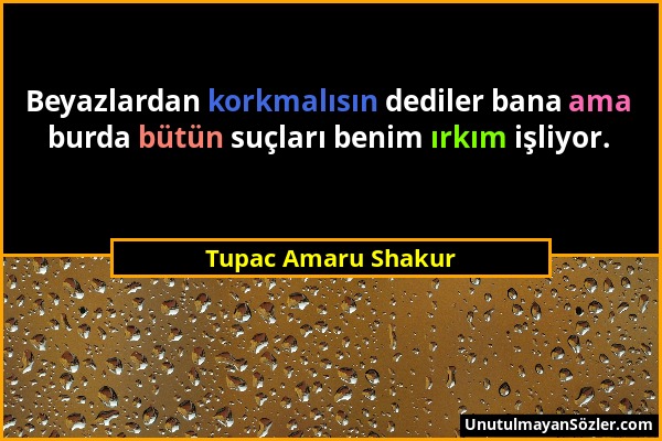 Tupac Amaru Shakur - Beyazlardan korkmalısın dediler bana ama burda bütün suçları benim ırkım işliyor....