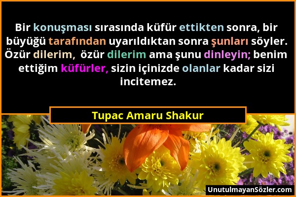 Tupac Amaru Shakur - Bir konuşması sırasında küfür ettikten sonra, bir büyüğü tarafından uyarıldıktan sonra şunları söyler. Özür dilerim,  özür dileri...