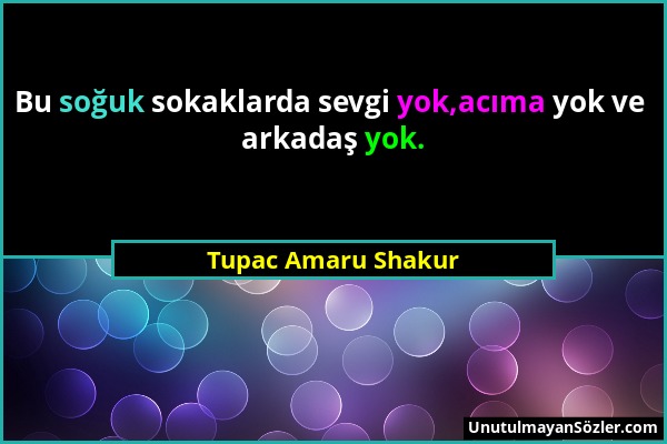 Tupac Amaru Shakur - Bu soğuk sokaklarda sevgi yok,acıma yok ve arkadaş yok....