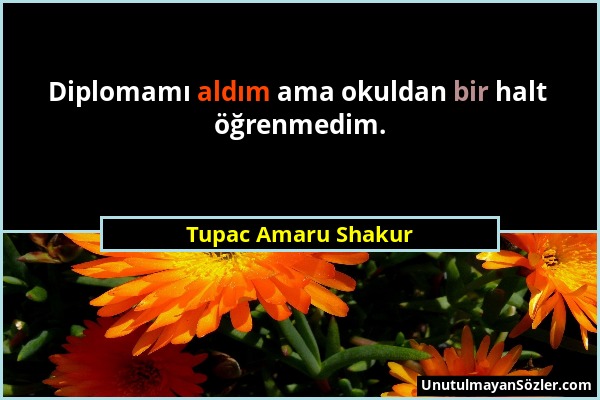 Tupac Amaru Shakur - Diplomamı aldım ama okuldan bir halt öğrenmedim....