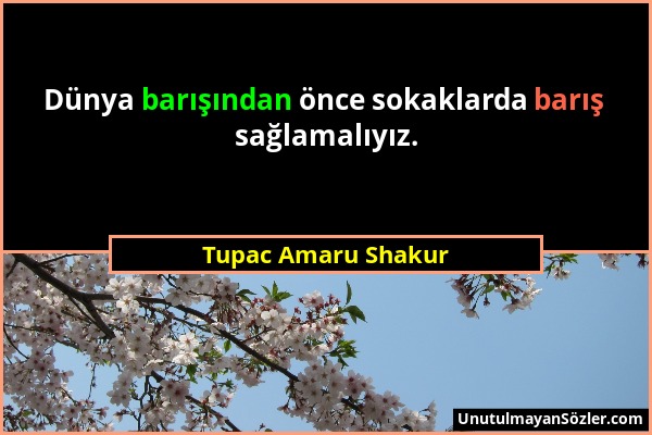 Tupac Amaru Shakur - Dünya barışından önce sokaklarda barış sağlamalıyız....