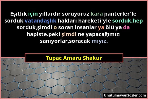 Tupac Amaru Shakur - Eşitlik için yıllardır soruyoruz kara panterler'le sorduk vatandaşlık hakları hareketi'yle sorduk,hep sorduk,şimdi o soran insanl...