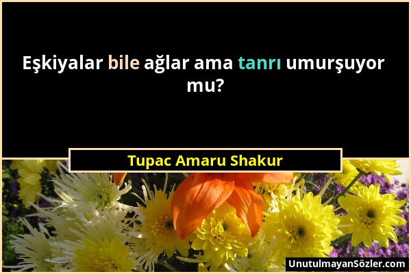 Tupac Amaru Shakur - Eşkiyalar bile ağlar ama tanrı umurşuyor mu?...
