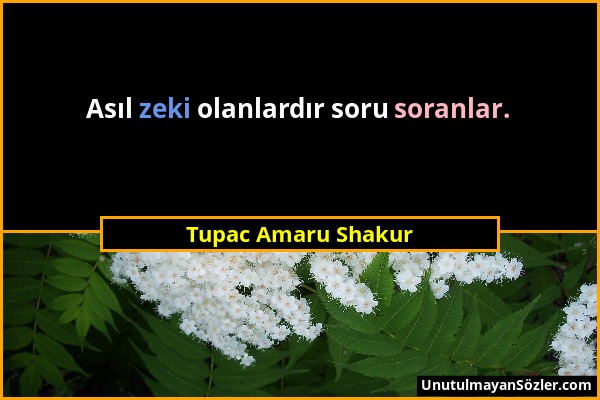 Tupac Amaru Shakur - Asıl zeki olanlardır soru soranlar....