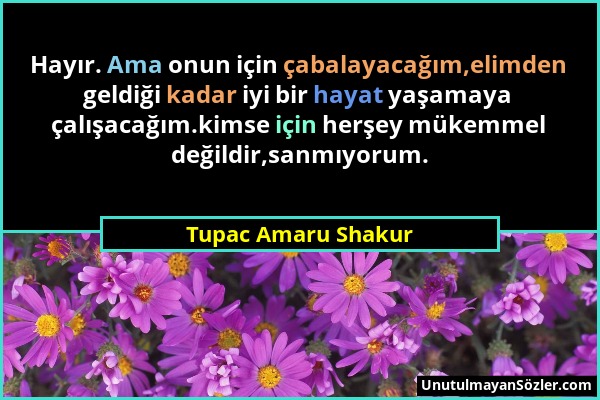 Tupac Amaru Shakur - Hayır. Ama onun için çabalayacağım,elimden geldiği kadar iyi bir hayat yaşamaya çalışacağım.kimse için herşey mükemmel değildir,s...