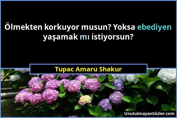 Tupac Amaru Shakur - Ölmekten korkuyor musun? Yoksa ebediyen yaşamak mı istiyorsun?...