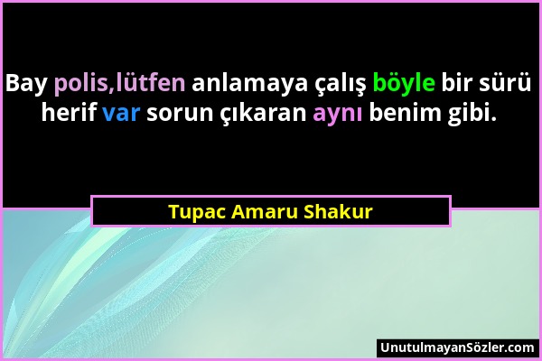 Tupac Amaru Shakur - Bay polis,lütfen anlamaya çalış böyle bir sürü herif var sorun çıkaran aynı benim gibi....