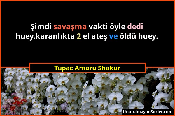 Tupac Amaru Shakur - Şimdi savaşma vakti öyle dedi huey.karanlıkta 2 el ateş ve öldü huey....