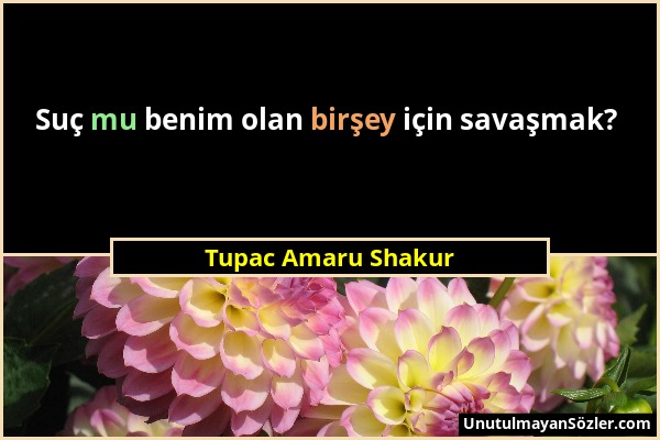 Tupac Amaru Shakur - Suç mu benim olan birşey için savaşmak?...