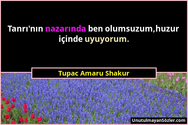 Tupac Amaru Shakur - Tanrı'nın nazarında ben olumsuzum,huzur içinde uyuyorum....