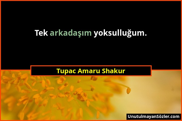 Tupac Amaru Shakur - Tek arkadaşım yoksulluğum....