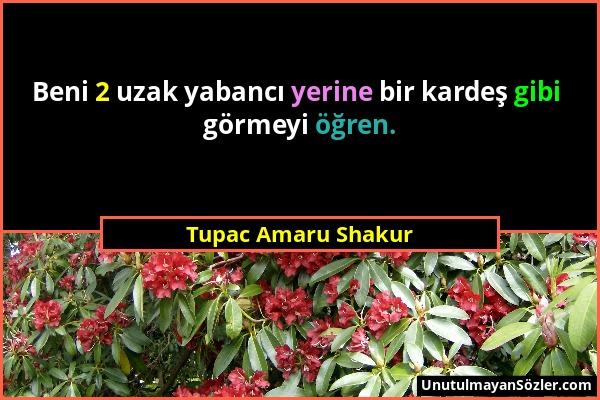 Tupac Amaru Shakur - Beni 2 uzak yabancı yerine bir kardeş gibi görmeyi öğren....