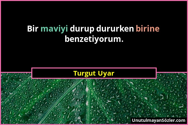 Turgut Uyar - Bir maviyi durup dururken birine benzetiyorum....