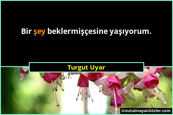 Turgut Uyar - Bir şey beklermişçesine yaşıyorum....