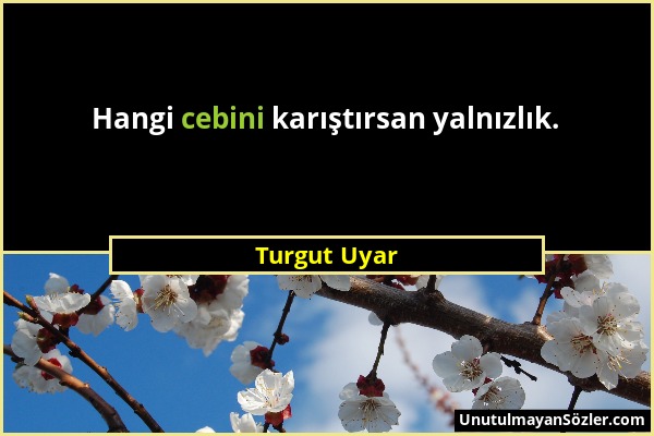 Turgut Uyar - Hangi cebini karıştırsan yalnızlık....