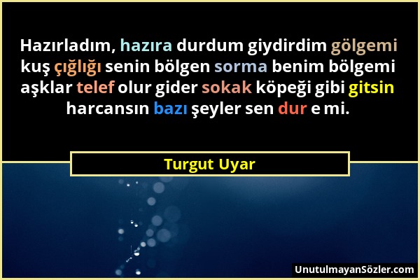 Turgut Uyar - Hazırladım, hazıra durdum giydirdim gölgemi kuş çığlığı senin bölgen sorma benim bölgemi aşklar telef olur gider sokak köpeği gibi gitsi...