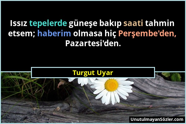 Turgut Uyar - Issız tepelerde güneşe bakıp saati tahmin etsem; haberim olmasa hiç Perşembe'den, Pazartesi'den....