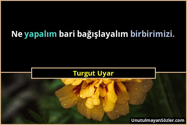 Turgut Uyar - Ne yapalım bari bağışlayalım birbirimizi....