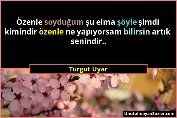 Turgut Uyar - Özenle soyduğum şu elma şöyle şimdi kimindir özenle ne yapıyorsam bilirsin artık senindir.....