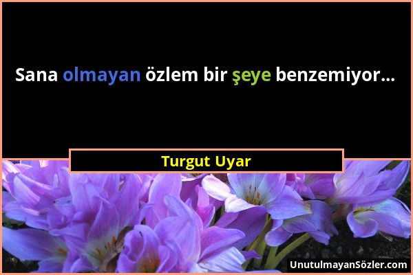 Turgut Uyar - Sana olmayan özlem bir şeye benzemiyor......