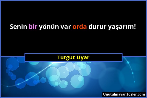 Turgut Uyar - Senin bir yönün var orda durur yaşarım!...