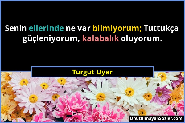 Turgut Uyar - Senin ellerinde ne var bilmiyorum; Tuttukça güçleniyorum, kalabalık oluyorum....