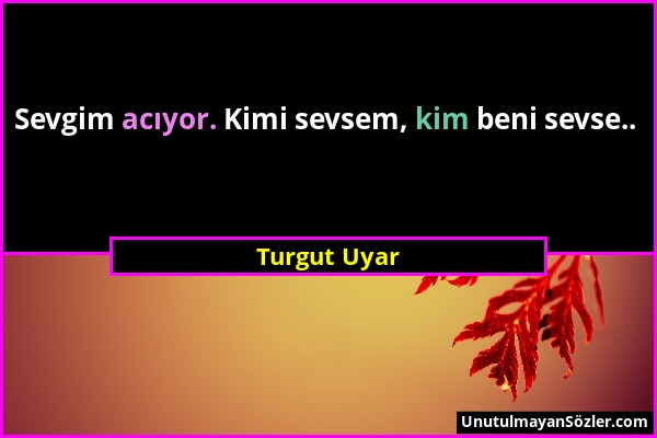 Turgut Uyar - Sevgim acıyor. Kimi sevsem, kim beni sevse.....