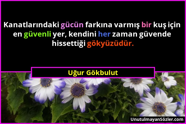 Uğur Gökbulut - Kanatlarındaki gücün farkına varmış bir kuş için en güvenli yer, kendini her zaman güvende hissettiği gökyüzüdür....