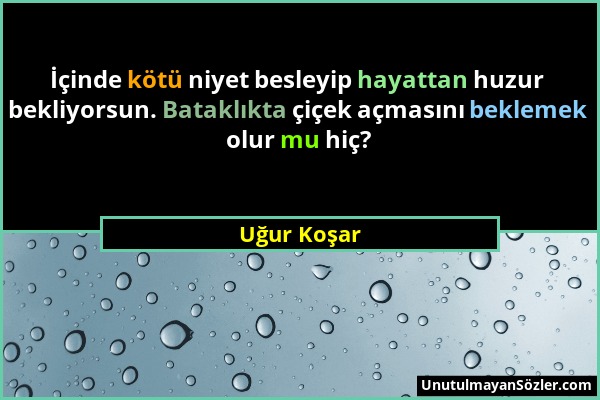 Uğur Koşar - İçinde kötü niyet besleyip hayattan huzur bekliyorsun. Bataklıkta çiçek açmasını beklemek olur mu hiç?...