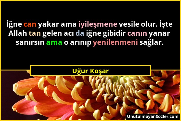 Uğur Koşar - İğne can yakar ama iyileşmene vesile olur. İşte Allah tan gelen acı da iğne gibidir canın yanar sanırsın ama o arınıp yenilenmeni sağlar....