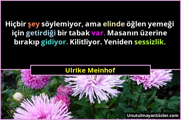 Ulrike Meinhof - Hiçbir şey söylemiyor, ama elinde öğlen yemeği için getirdiği bir tabak var. Masanın üzerine bırakıp gidiyor. Kilitliyor. Yeniden ses...