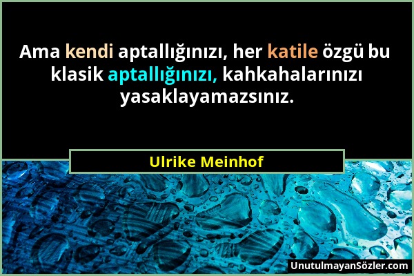 Ulrike Meinhof - Ama kendi aptallığınızı, her katile özgü bu klasik aptallığınızı, kahkahalarınızı yasaklayamazsınız....