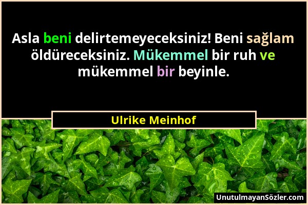 Ulrike Meinhof - Asla beni delirtemeyeceksiniz! Beni sağlam öldüreceksiniz. Mükemmel bir ruh ve mükemmel bir beyinle....