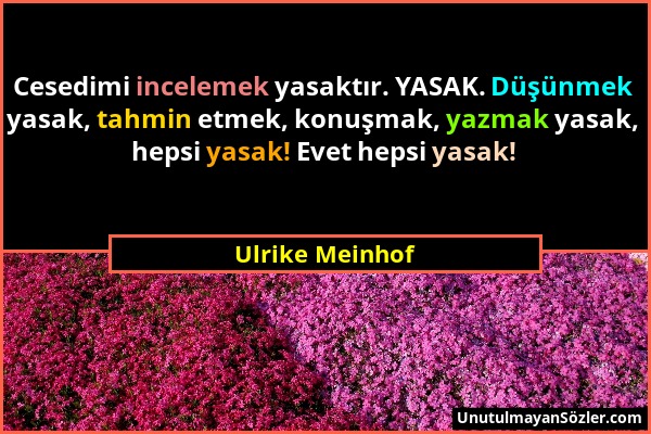 Ulrike Meinhof - Cesedimi incelemek yasaktır. YASAK. Düşünmek yasak, tahmin etmek, konuşmak, yazmak yasak, hepsi yasak! Evet hepsi yasak!...