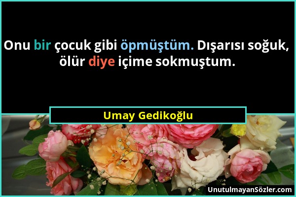 Umay Gedikoğlu - Onu bir çocuk gibi öpmüştüm. Dışarısı soğuk, ölür diye içime sokmuştum....