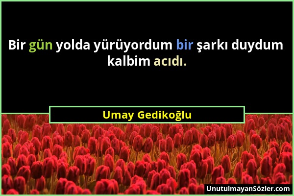 Umay Gedikoğlu - Bir gün yolda yürüyordum bir şarkı duydum kalbim acıdı....