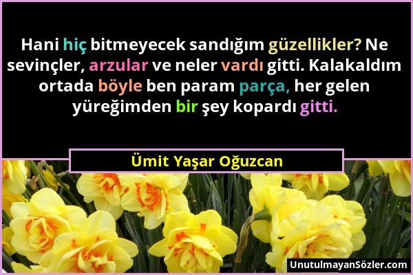 Ümit Yaşar Oğuzcan - Hani hiç bitmeyecek sandığım güzellikler? Ne sevinçler, arzular ve neler vardı gitti. Kalakaldım ortada böyle ben param parça, he...