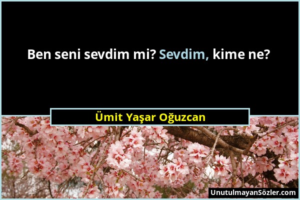 Ümit Yaşar Oğuzcan - Ben seni sevdim mi? Sevdim, kime ne?...