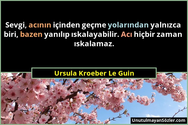 Ursula Kroeber Le Guin - Sevgi, acının içinden geçme yolarından yalnızca biri, bazen yanılıp ıskalayabilir. Acı hiçbir zaman ıskalamaz....