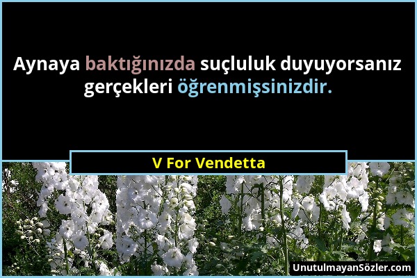 V For Vendetta - Aynaya baktığınızda suçluluk duyuyorsanız gerçekleri öğrenmişsinizdir....