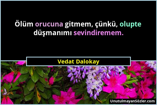 Vedat Dalokay - Ölüm orucuna gitmem, çünkü, olupte düşmanımı sevindiremem....