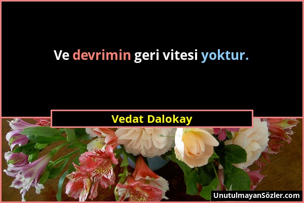 Vedat Dalokay - Ve devrimin geri vitesi yoktur....