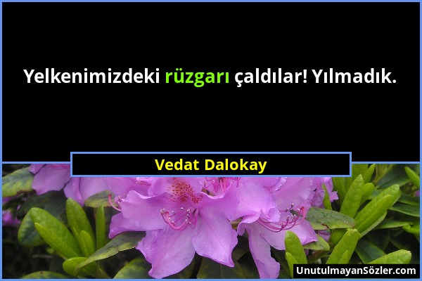 Vedat Dalokay - Yelkenimizdeki rüzgarı çaldılar! Yılmadık....