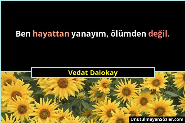 Vedat Dalokay - Ben hayattan yanayım, ölümden değil....