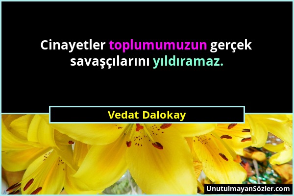 Vedat Dalokay - Cinayetler toplumumuzun gerçek savaşçılarını yıldıramaz....