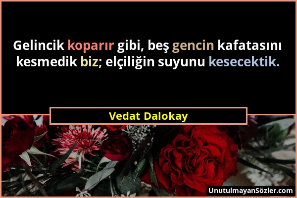 Vedat Dalokay - Gelincik koparır gibi, beş gencin kafatasını kesmedik biz; elçiliğin suyunu kesecektik....