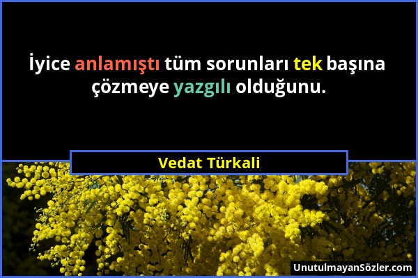 Vedat Türkali - İyice anlamıştı tüm sorunları tek başına çözmeye yazgılı olduğunu....