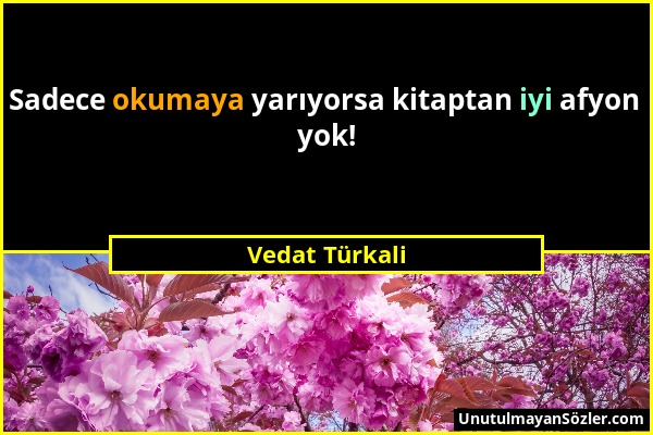 Vedat Türkali - Sadece okumaya yarıyorsa kitaptan iyi afyon yok!...