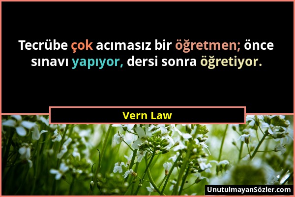 Vern Law - Tecrübe çok acımasız bir öğretmen; önce sınavı yapıyor, dersi sonra öğretiyor....